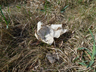 Similar image 22127254