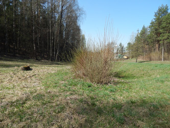 Similar image 22127255