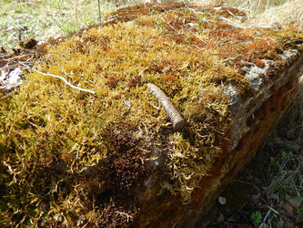 Similar image 22127256