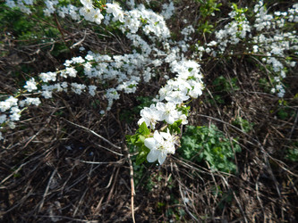 Similar image 22127259