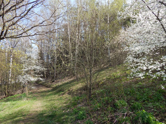 Similar image 22127261