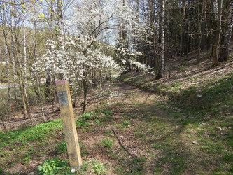 Similar image 22127262