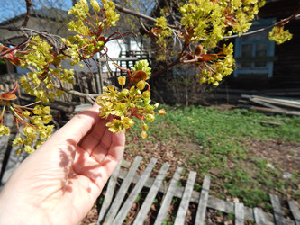 Similar image 22127267