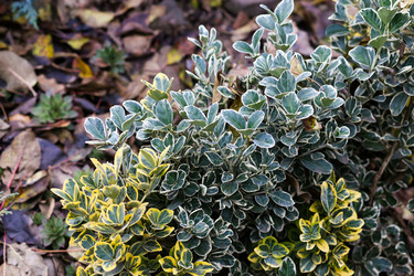 Similar image 22131740