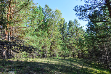 Similar image 22126721