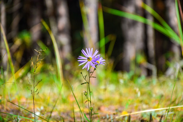 Similar image 22126722