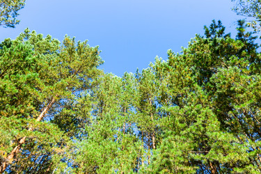 Similar image 22126724