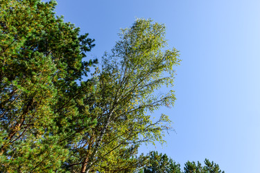 Similar image 22126725