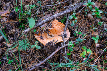 Similar image 22126726