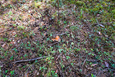 Similar image 22126727