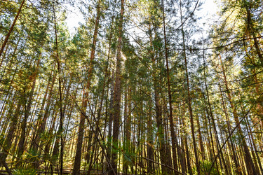 Similar image 22126729