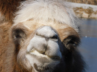 Similar image 22126832