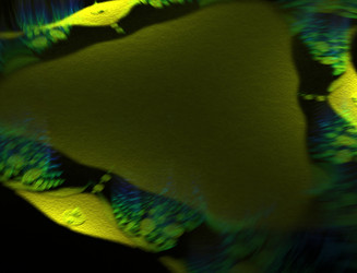 Similar image 22131013