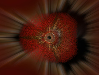 Similar image 22131266