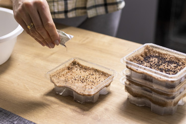 Similar image 22126834