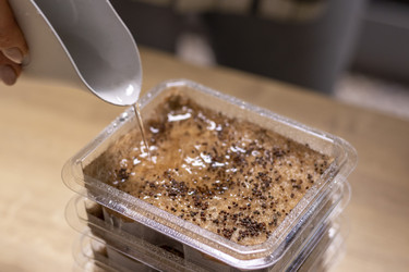 Similar image 22126835