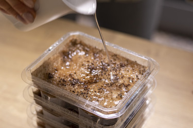 Similar image 22126836