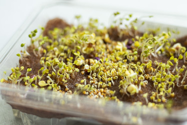 Similar image 22126837