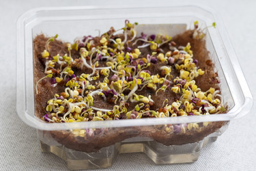 Similar image 22126838