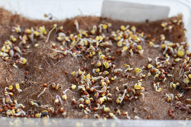 Similar image 22126840