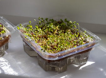 Similar image 22127315