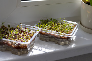 Similar image 22127316