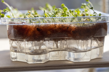 Similar image 22127317