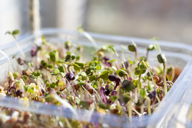 Similar image 22127319