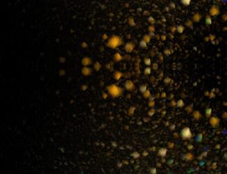 Similar image 22131058