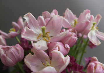 Similar image 22131471