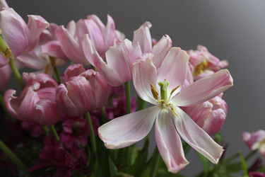 Similar image 22131721