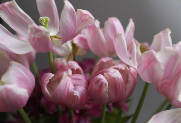 Similar image 22131722