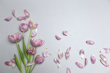 Similar image 22131765