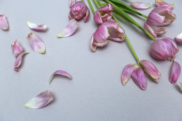 Similar image 22131769