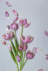 Similar image 22131770