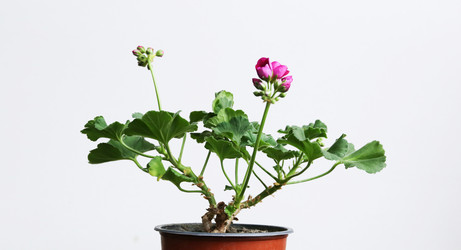 Similar image 22131782