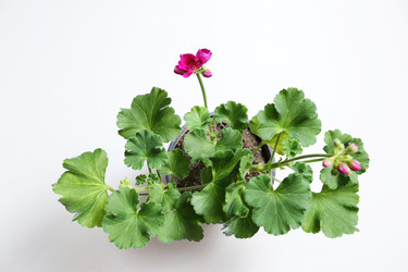 Similar image 22131788