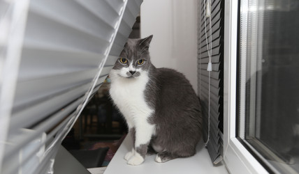 Similar image 22131793