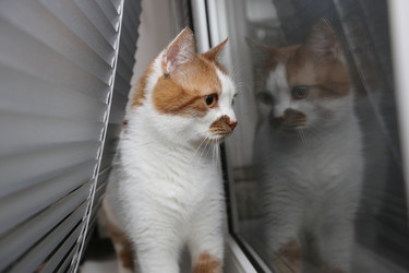 Similar image 22131795