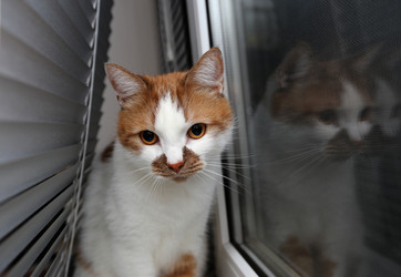 Similar image 22131797