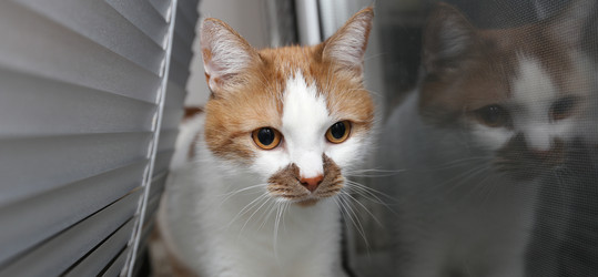 Similar image 22131799