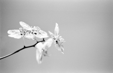 Similar image 22129292