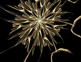 Similar image 22131088