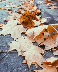 Similar image 22126875