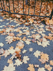 Similar image 22126876