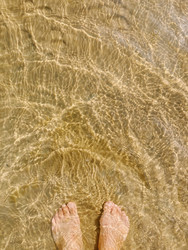 Similar image 22126878