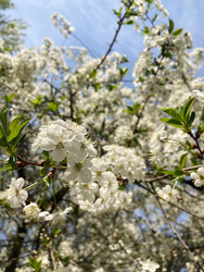 Similar image 22128286