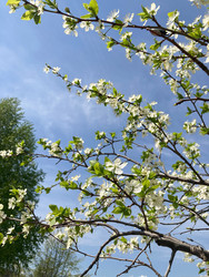 Similar image 22128287