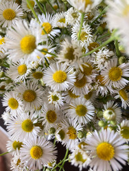 Similar image 22128395