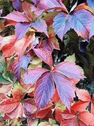 Similar image 22126883